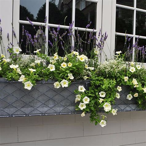 window flower boxes metal|galvanized metal window boxes.